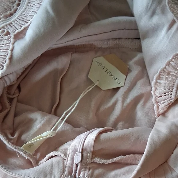 New Pinkblush Pink Long Sleeve Gown with Plunge Neckline - Picture 7 of 7